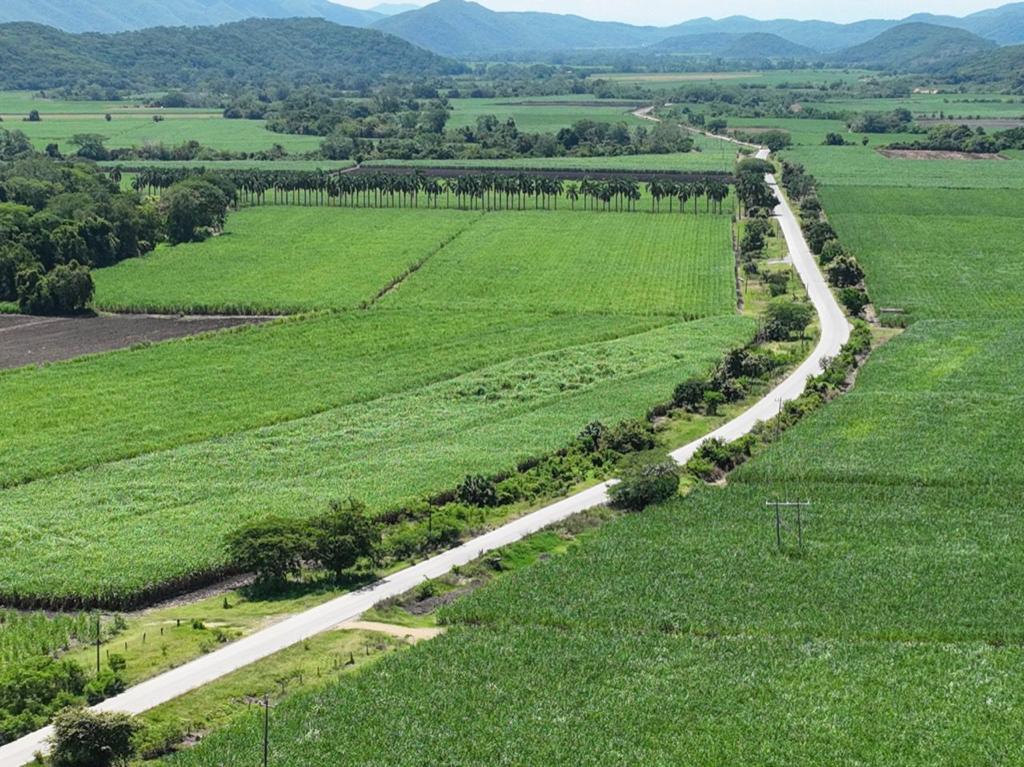 CARRETERA VALLES-EL NARANJO DETONARÁ COMO NUNCA EL CRECIMIENTO Y DESARROLLO ECONÓMICO LOCAL