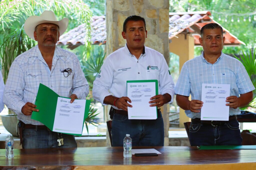 IMPULSA GOBIERNO DEL CAMBIO VIVERO DE ÁRBOLES FRUTALES Y MADERABLES PARA REFORESTACIÓN