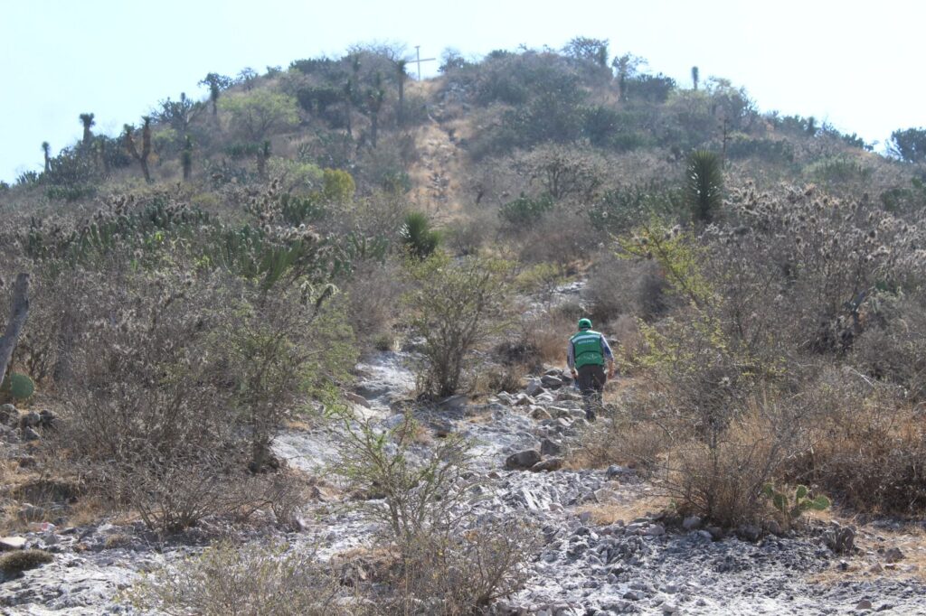 BUSCA SEGAM DECLARAR ÁREA NATURAL PROTEGIDA A PARQUE URBANO PICACHO EN VILLA HIDALGO