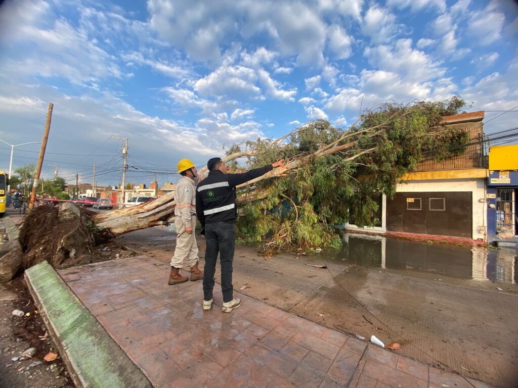 ATENDIÓ PROTECCIÓN CIVIL ESTATAL AFECTACIONES POR LLUVIAS 