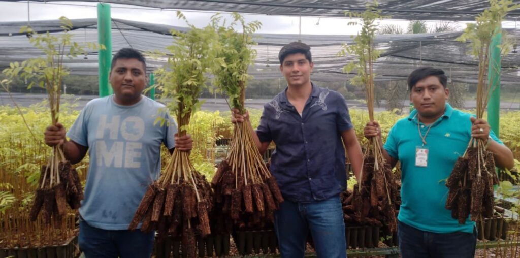 GOBIERNO ESTATAL REFORESTARÁ ÁREAS Y CENTROS HISTÓRICOS