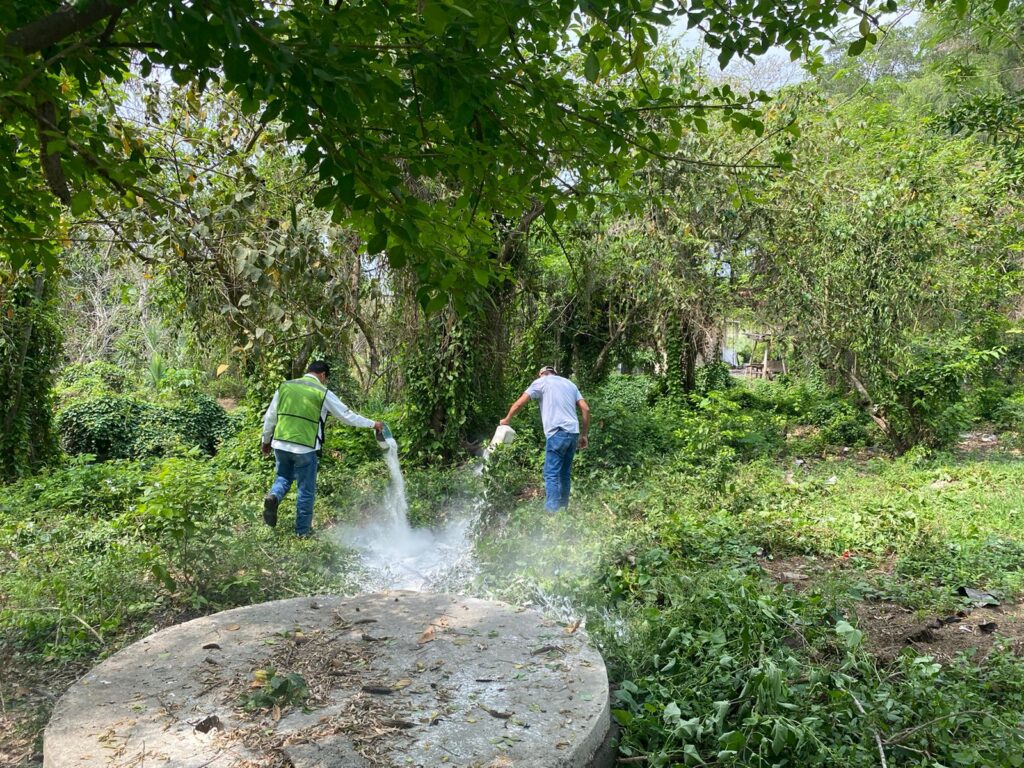 GOBIERNO ESTATAL INTENSIFICA COMBATE DEL DENGUE, ZIKA Y CHIKUNGUNYA