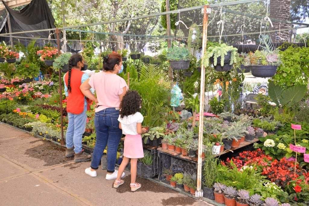 PREPARA SOLEDAD SU FESTIVAL DE LAS FLORES 2024: TALLERES DE ARTE FLORAL Y MÚSICA