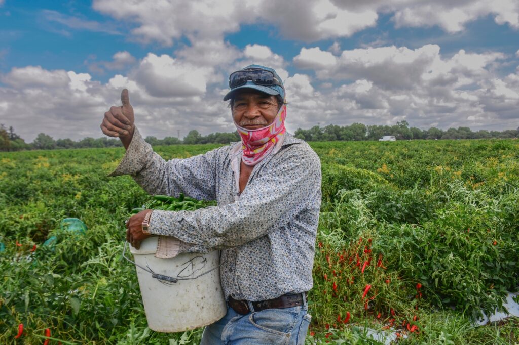 GOBIERNO DE SOLEDAD INICIA REGISTRO DE BENEFICIARIOS DE APOYOS AGROPECUARIOS