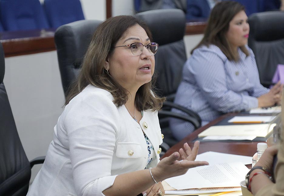 Dip. María Leticia Vázquez Hernández